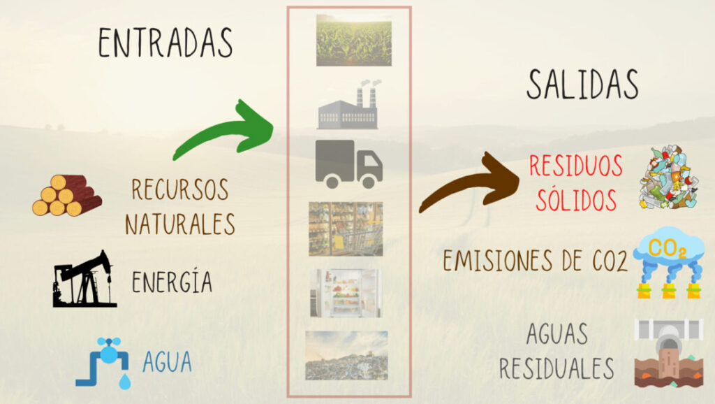 Entradas y salidas en el ciclo de vida de un producto